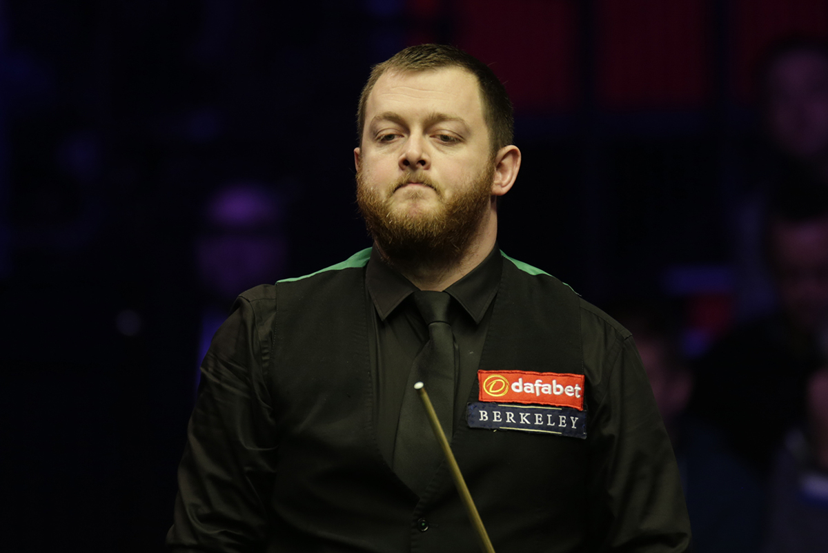 起了不小的 起了不小的