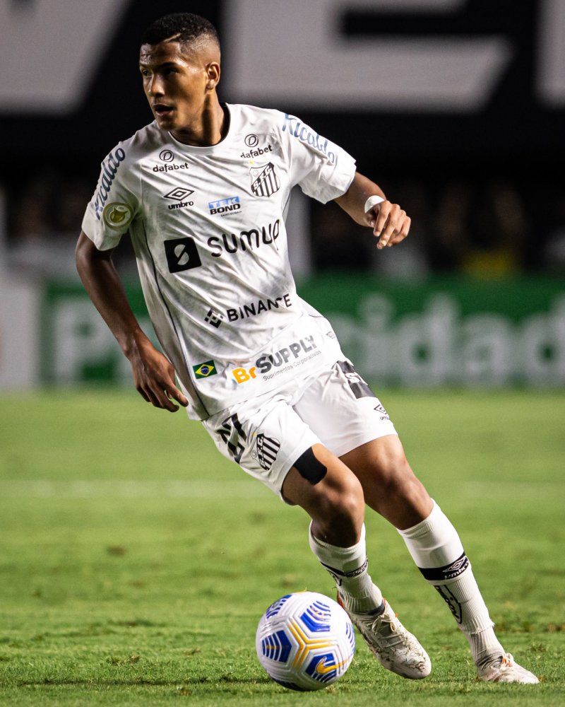 心理战术的 心理战术的