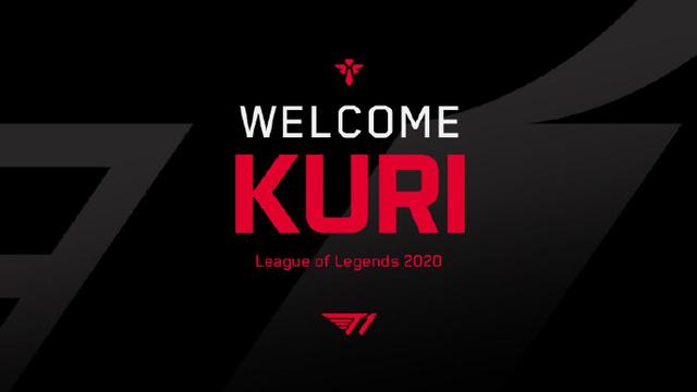 篮的临场指 篮的临场指